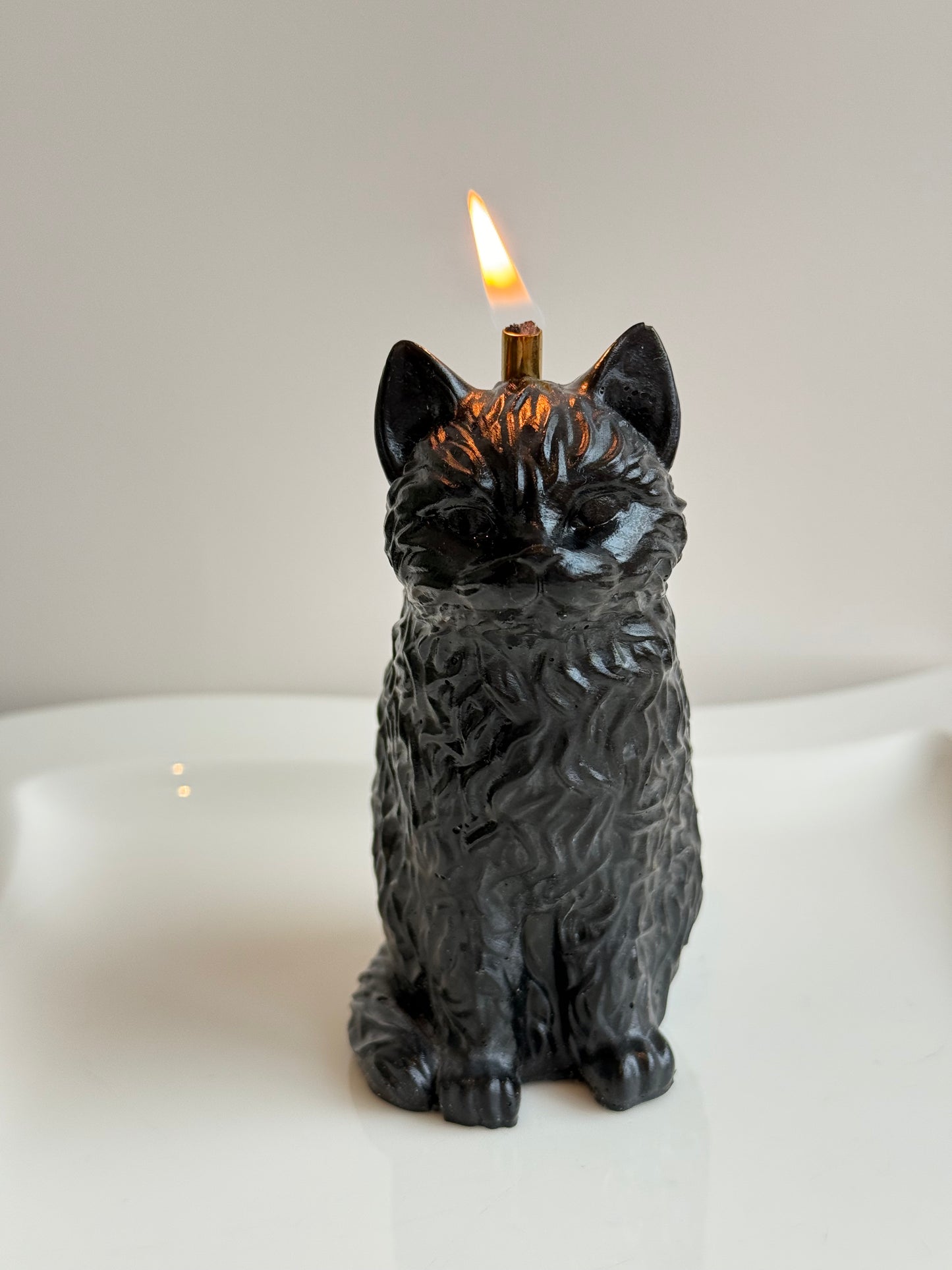 Пламъкът на котката